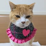 ハートツイードスタイ