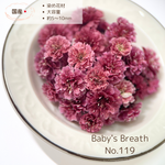 【国産・大容量】かすみ草　NO.119　ドライフラワー 　染め　花材