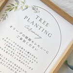 植樹セレモニー\オリーブセレモニー/結婚式演出/オリーブ/ゲスト参加型/ウェルカムスペース/植樹の儀/結婚式オリーブ/ゲスト参加型　植樹式