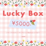 Lucy Box 2025
