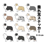 【垂れ耳】ボーダーコリー ステッカー
