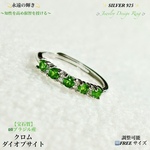 【宝石質】クロムダイオプサイト×⑤石✨Silver.925💍ジュエリー天然石リング指輪🆓フリーサイズ💍
