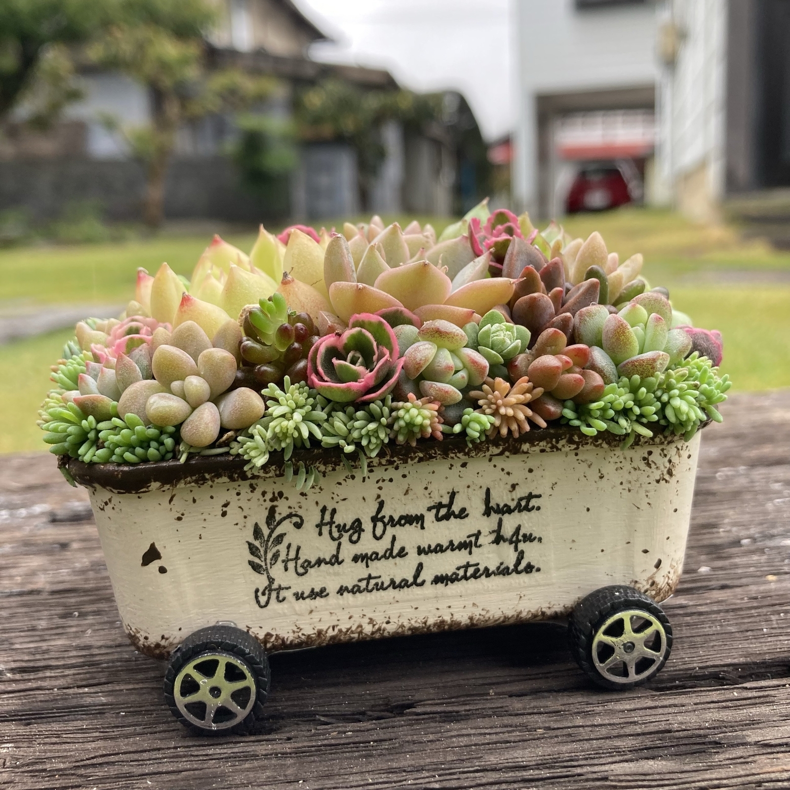 多肉植物寄せ植え そのまま飾れる ちま寄せ花車 - MIDORIN47'S