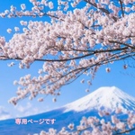 K様専用ページです♡