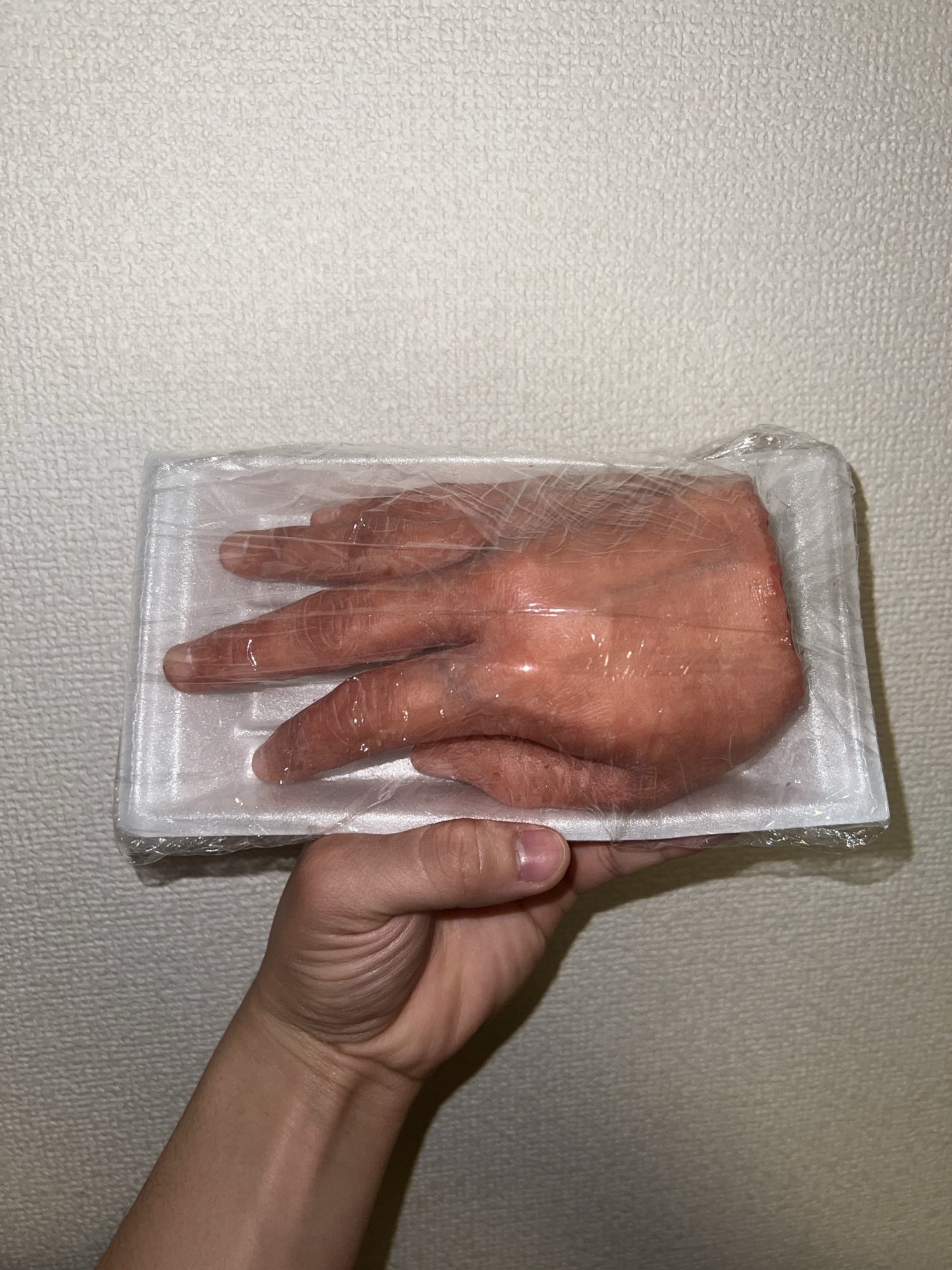 美大生の手 美大生の手 - HIRASAWAX'S GALLERY | minne byGMOペパボ 国内最大級の