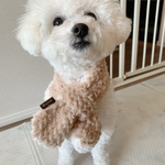 犬服！リバーシブルマフラー🧣