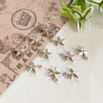 【260】スターチャーム シルバー 10個→20個