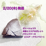 2/20発送焼き菓子詰め合わせ【2025年2月】