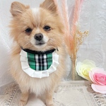 犬 つけ襟 スタイ おしゃれ 可愛いスタイ うちの子記念 誕生日 大型犬 中型犬 小型犬 刺繍 リボンスタイ チェック柄