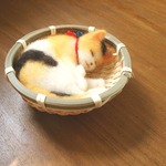 かご猫　ぷりん　⑩
