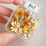 お得な小花ミックスセット