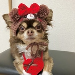 再販‼️犬用＆猫用 恋するバレンタインくまちゃん帽子🍫💕🐻❤️ミルクチョコ♡ハートのほっぺ♡