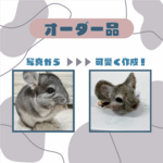 【羊毛フェルト】愛ペットのブローチ【オーダー品】