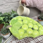 マスカットポーチ🍇