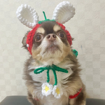 イースター 犬用＆猫用うさみみいちご帽子🍓 耳穴あり 被り物