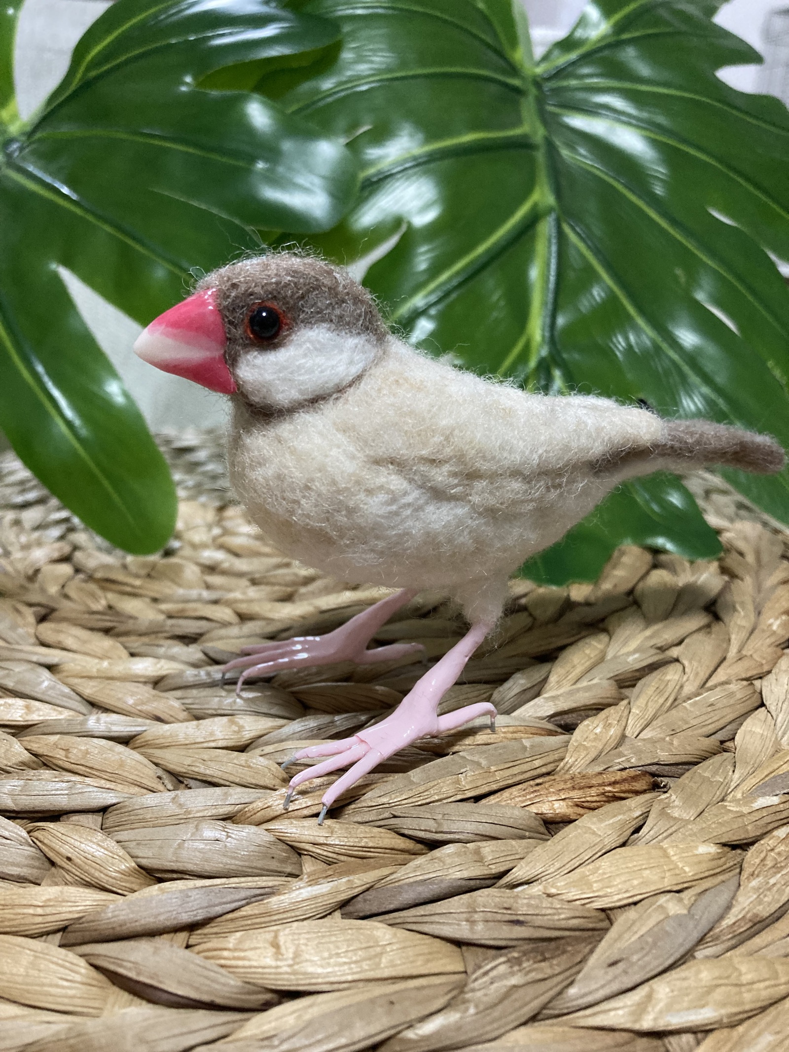 Favorite - 文鳥ドルマンカーディガン 桜文鳥 000000014929_JERGeJf.jpg