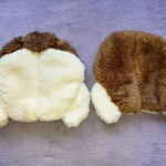 コギけつ！コースター(送料込み)