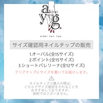 サイズ確認用ネイルチップ(クリア)