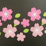 【壁面飾り】 春 3月 4月 桜 卒園式 卒業式 入園式 入学式 画用紙