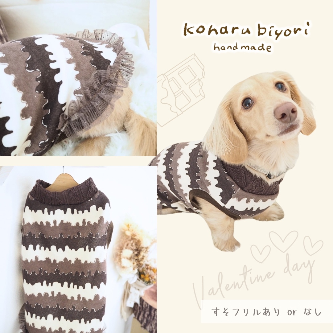 犬服 ラグラン(L) ꒡̈⃝Lily꒡̈⃝ハンドメイド（ベーシック