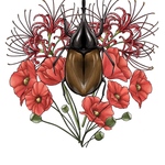 Flower Insect Bouquet Postcard - Rhino beetle 花と虫のブーケのはがき カブトムシ