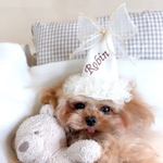 《ペット*パーティーハット》名入れ　ペットクラウン　王冠　誕生日　one バースデーハット　犬　うちのこ　わんこ　猫　ねこ　うさぎ　ヘッドドレス 帽子