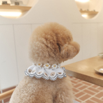 犬用チョーカー　ミニデイジー
