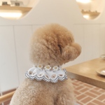 犬用チョーカー　ミニデイジー