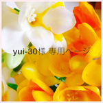 yui-30様 専用ページ