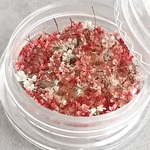 小容量　R14)  赤 レースフラワー (フレーク)　レッド　オレンジ　ホワイト　ドライフラワー　小花　レジン花材