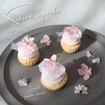 Sakura cupcake