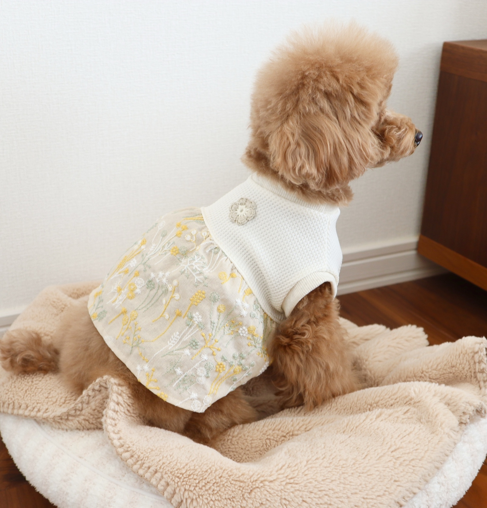 SNM·͜·*♡犬服ハンドメイドワンピース 犬服 ハンドメイド ワンピース - メルカリ