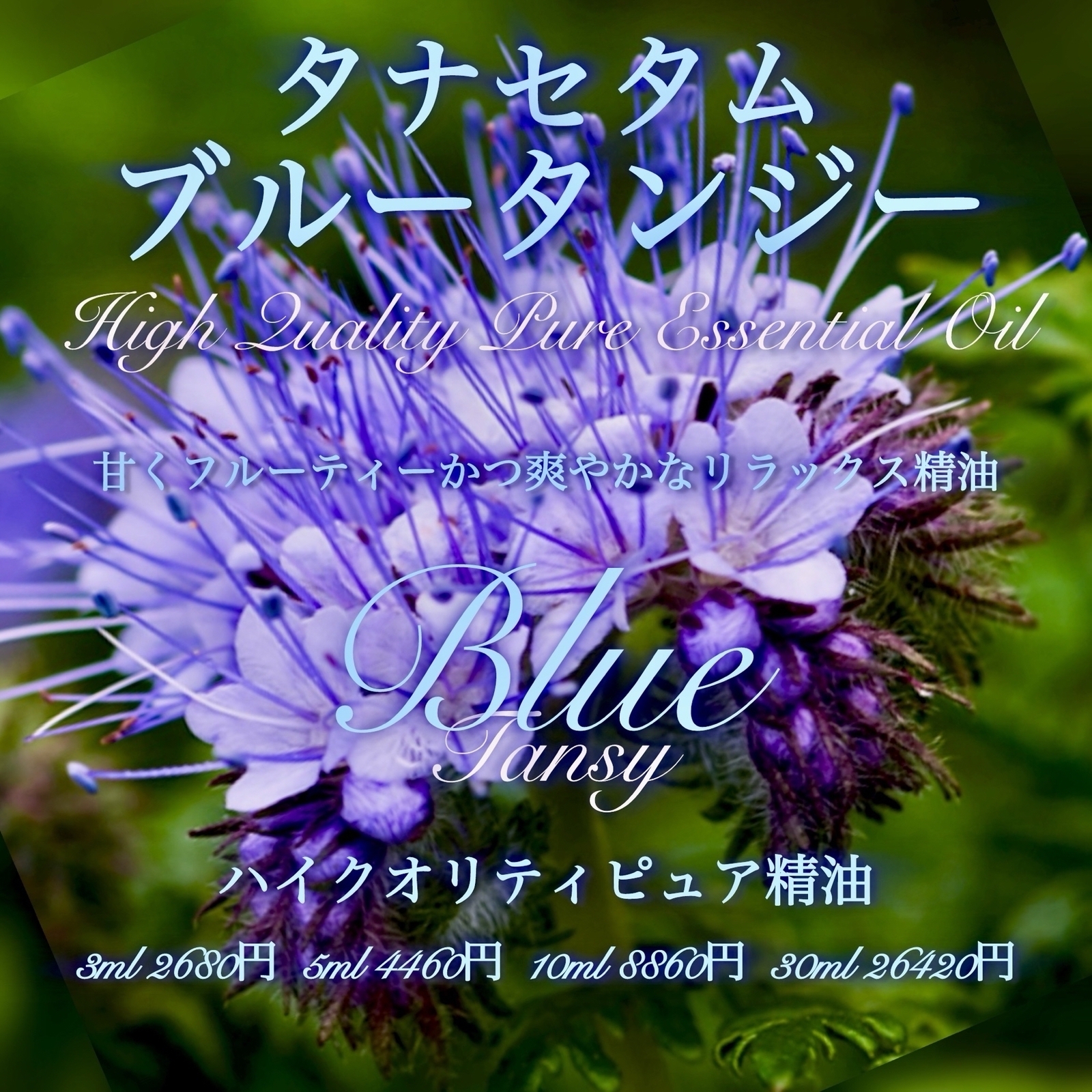 タナセタム(ブルータンジー)精油5ml
