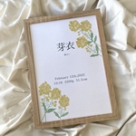 命名書 ＊ 菜の花
