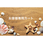02231028様専用カート
