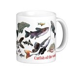 世界のナマズのマグカップ：フォトマグ（世界の熱帯魚シリーズ）
