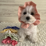 犬の　ぼうしみたいなスヌード👒桃色のお花🩷