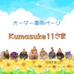 kumasuke11様専用オーダーページ ルーミィ60ロフト