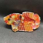 ベタ🐠のビーズ刺繍ブローチ　プラカット🍓ニモ