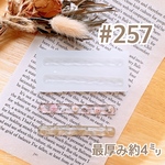 シリコンモールド#257