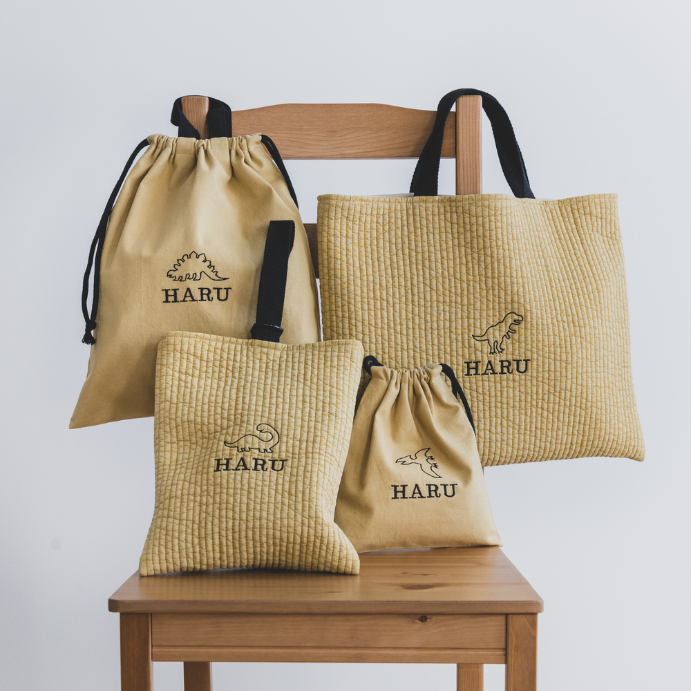 単品販売 恐竜刺繍 レッスンバッグ 上履き入れ お着替え袋 体操