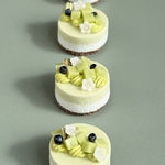 ミニチュア　メロメロンムース