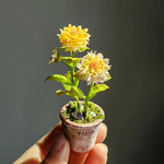 ミニチュア 観葉植物 ダリア 粘土製 ドールハウス ミニチュアハウス 贈り物