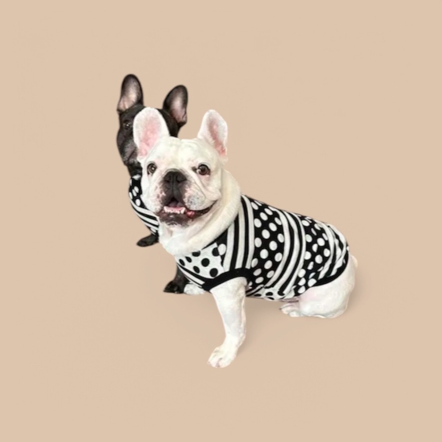 犬服屋misaru - 作品一覧 | minne 国内最大級のハンドメイド・手作り