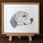 あなたの愛犬を絵にしませんか～（サンプル絵）