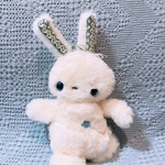 世界に１つだけのポケットうさぎ