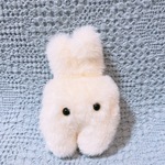 あいまいさんの歯うさぎ