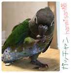 hanmisan さまオーダー分
