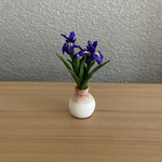 菖蒲をお部屋に🩷