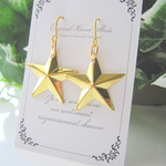 キラキラ☆星☆のピアス